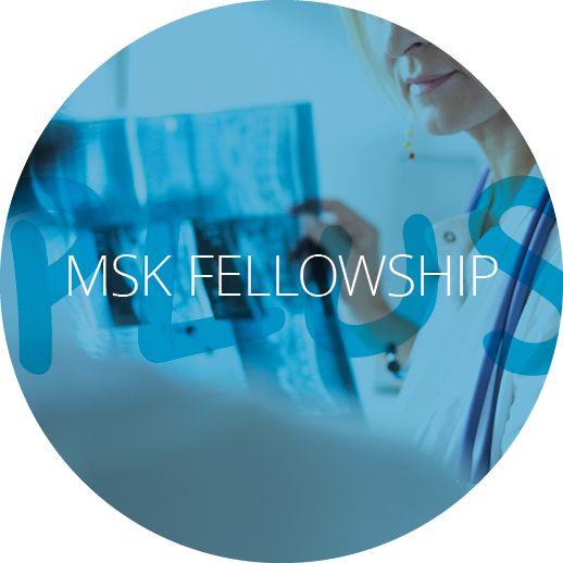 MSK Fellowship